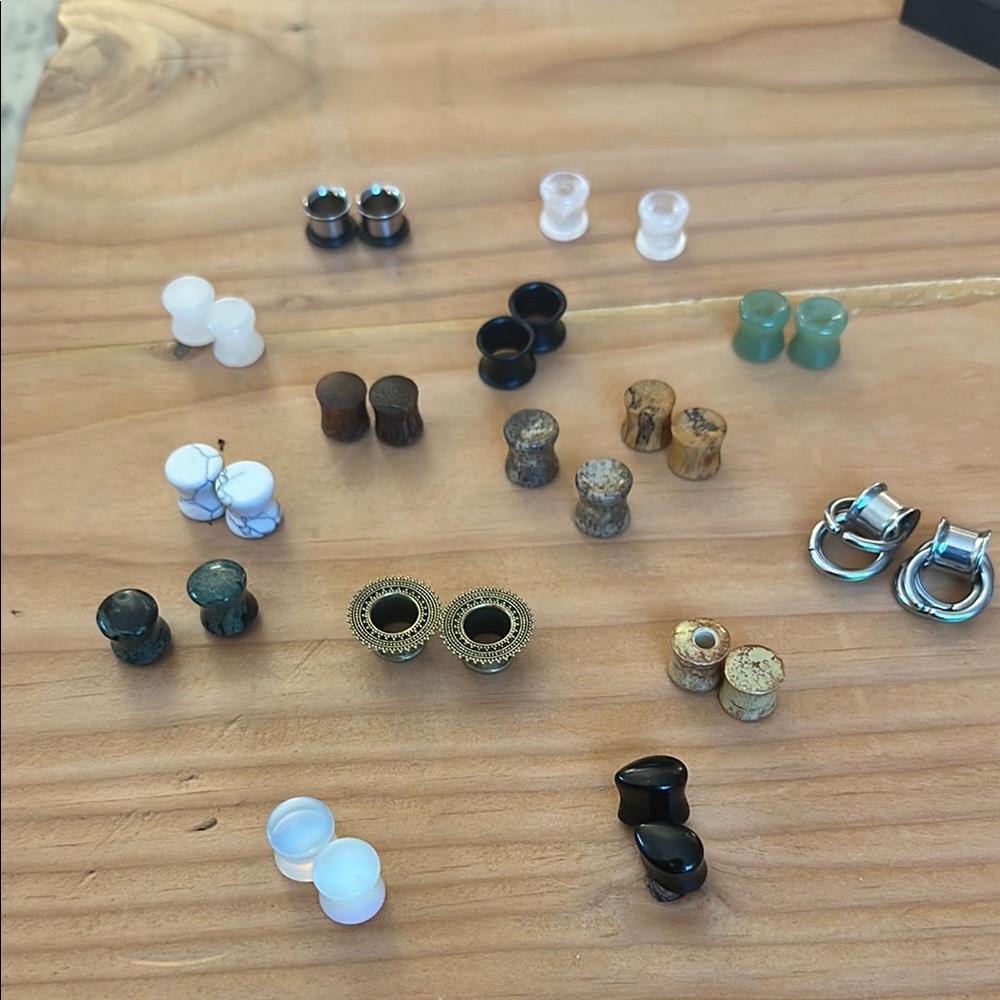 Assorted Plug Earrings Set
